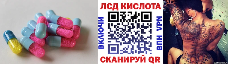 дарнет шоп  Котлас  Лсд 25 экстази кислота 