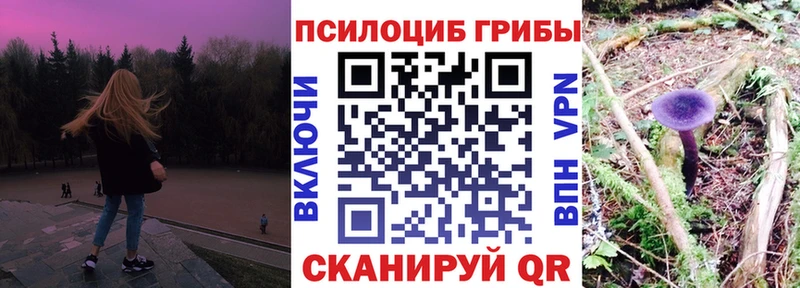 маркетплейс состав  Котлас  Галлюциногенные грибы Cubensis 